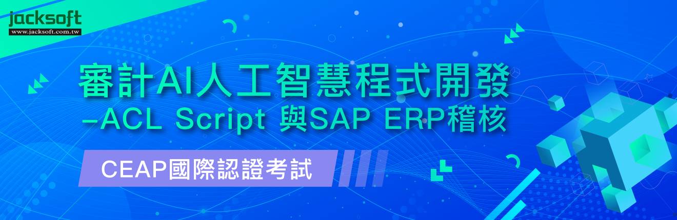 審計ai人工智慧程式開發 Acl Script 與sap Erp稽核 含ceap國際認證